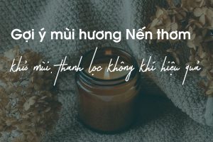 nen-thom-khu-mui-thanh-loc-khong-khi